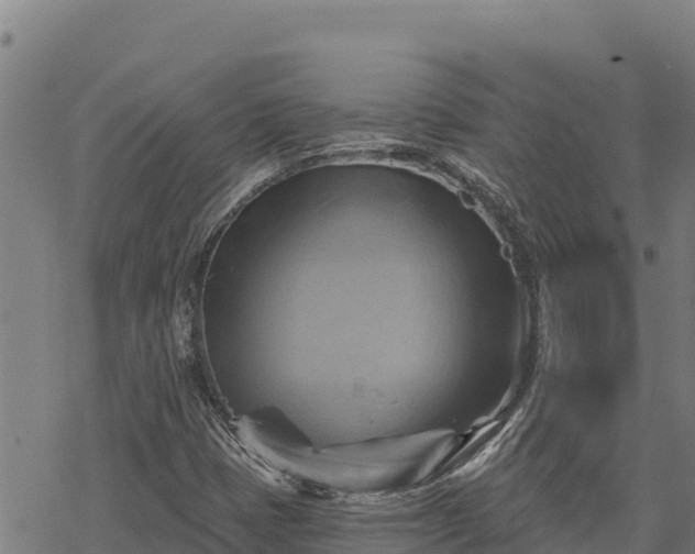 X0000068821401200605121304