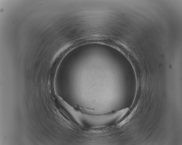 X0000068821402200605121304