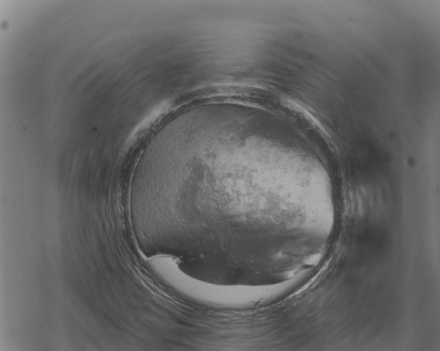 X0000068821403200605121304