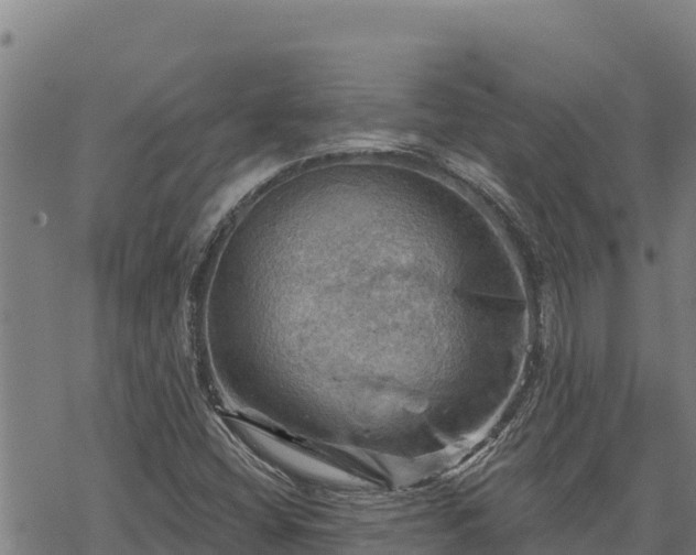 X0000068821404200605121304