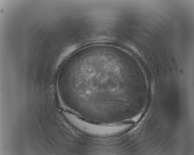 X0000068821405200605121304