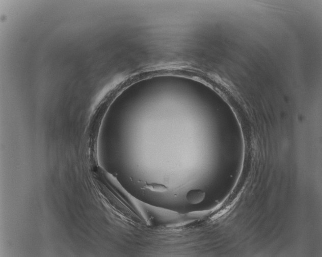 X0000068821406200605121304