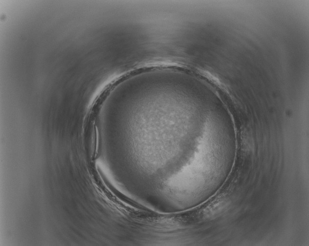 X0000068821408200605121304