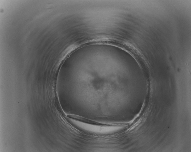 X0000068821409200605121304