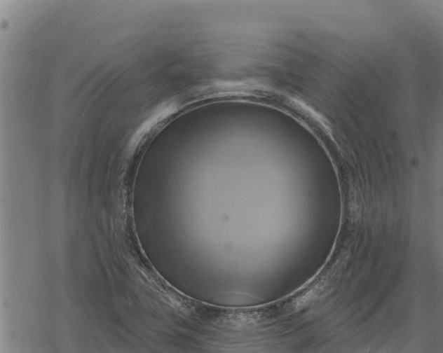 X0000068821411200605121304