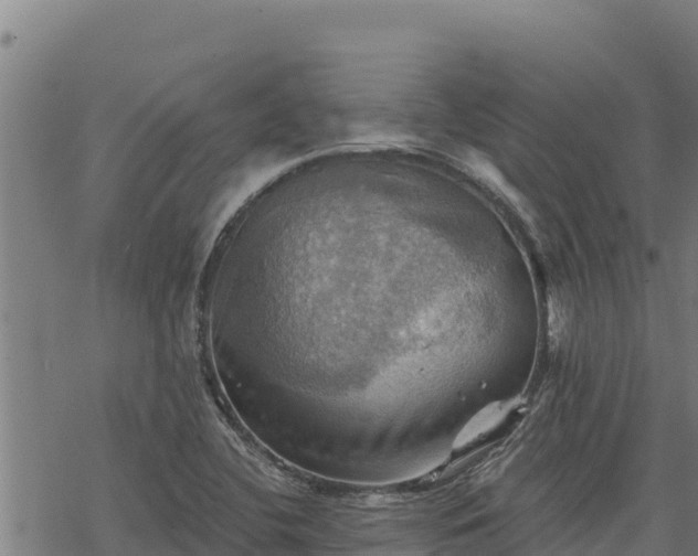 X0000068821412200605121304