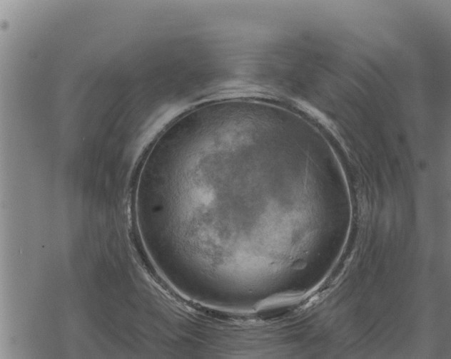 X0000068821415200605121304