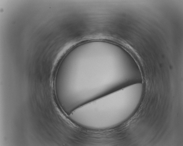 X0000068821416200605121304