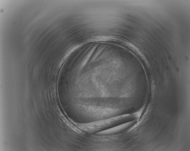 X0000068821417200605121304