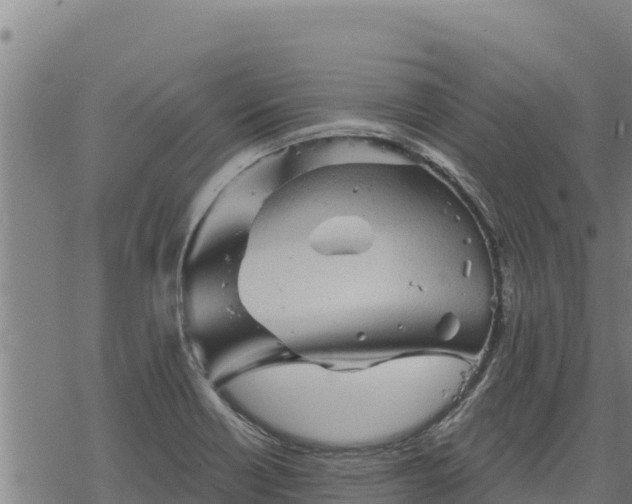 X0000068821418200605121304