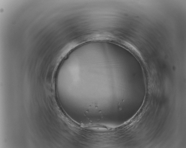 X0000068821419200605121304