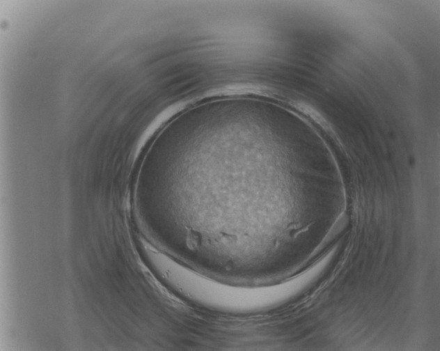 X0000068821420200605121304