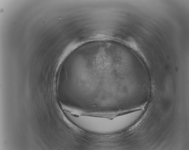 X0000068821421200605121304