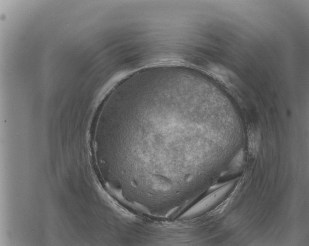 X0000068821422200605121304