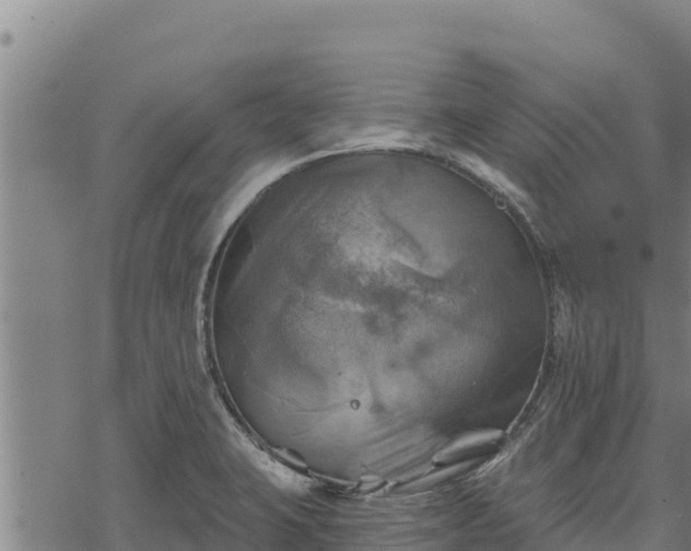 X0000068821423200605121304