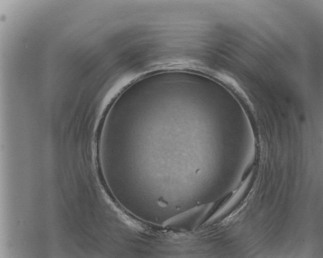 X0000068821424200605121304