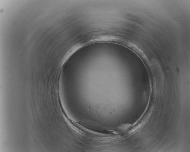 X0000068821425200605121304