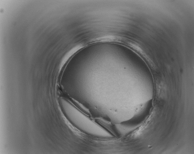 X0000068821426200605121304