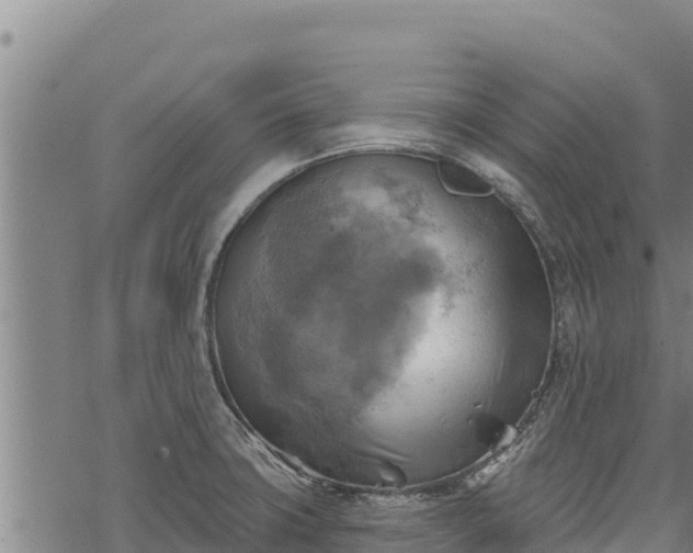 X0000068821427200605121304