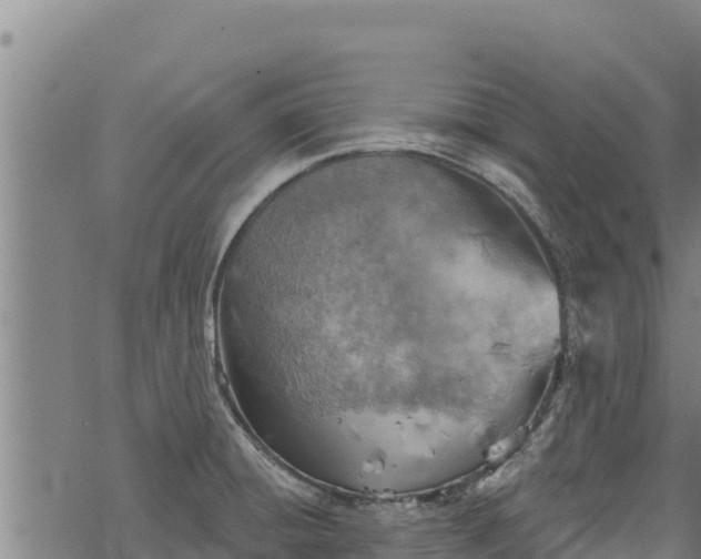 X0000068821428200605121304