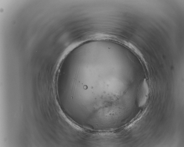 X0000068821429200605121304