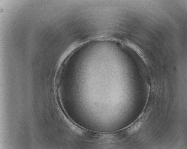 X0000068821430200605121304