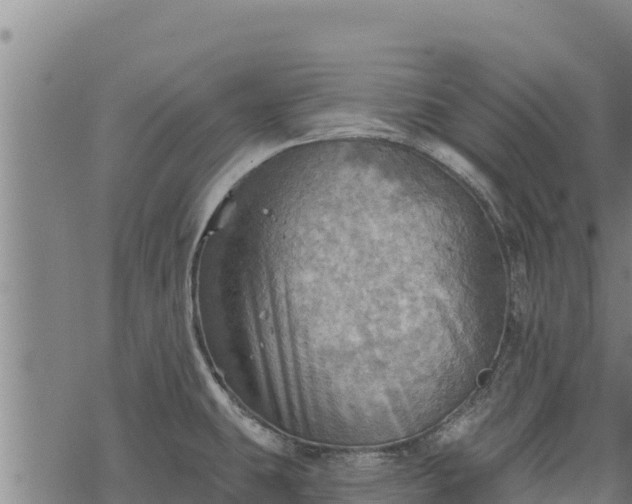 X0000068821431200605121304