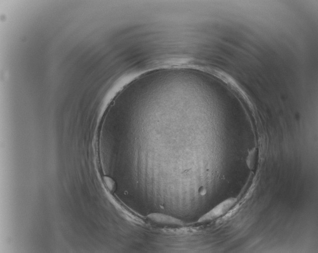 X0000068821432200605121304