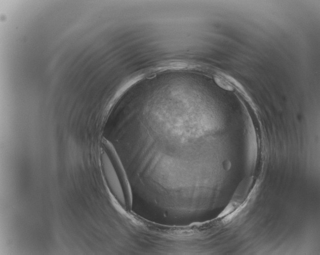 X0000068821433200605121304