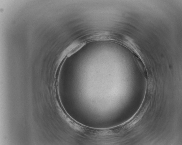 X0000068821434200605121304