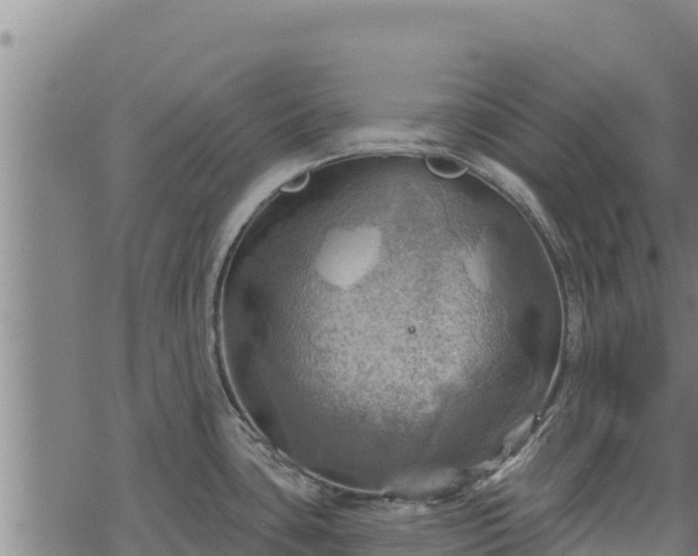 X0000068821435200605121304