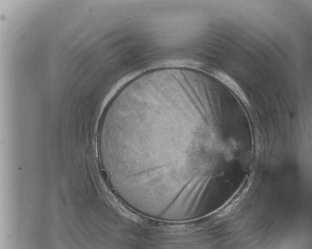 X0000068821436200605121304