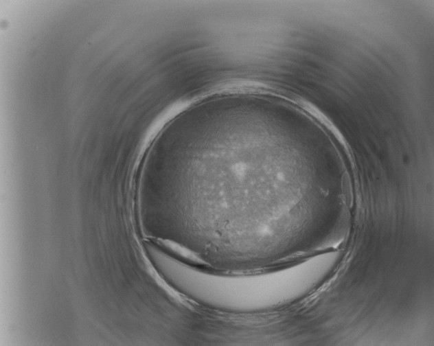 X0000068821437200605121304