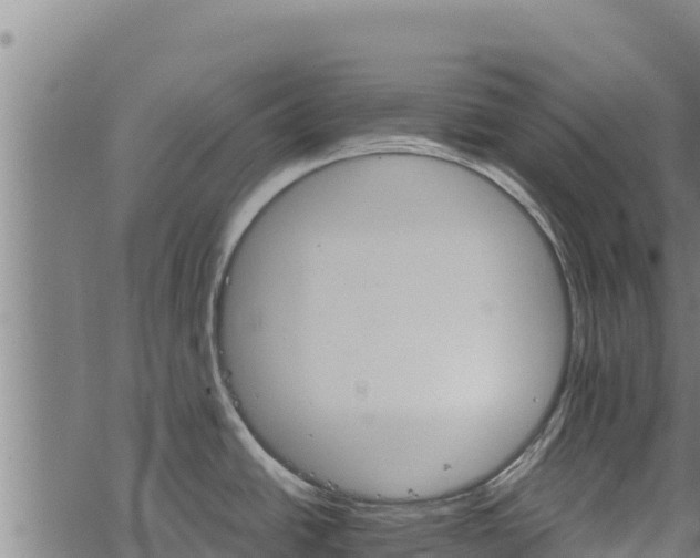 X0000068821438200605121304