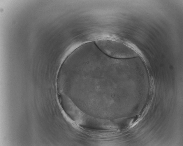 X0000068821439200605121305