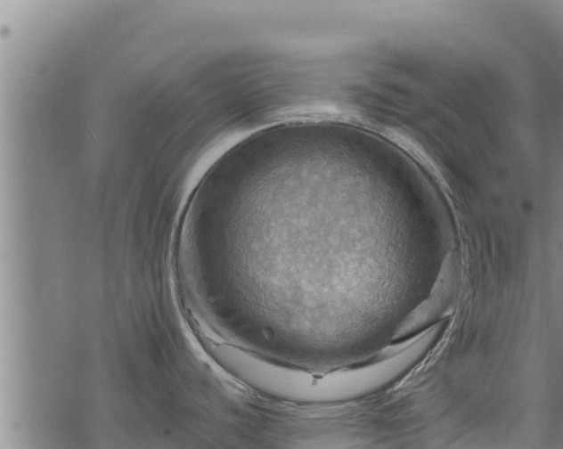 X0000068821440200605121305