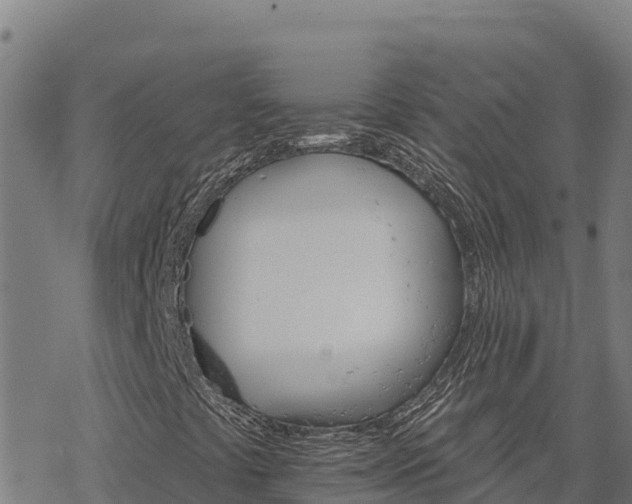 X0000068821441200605121304