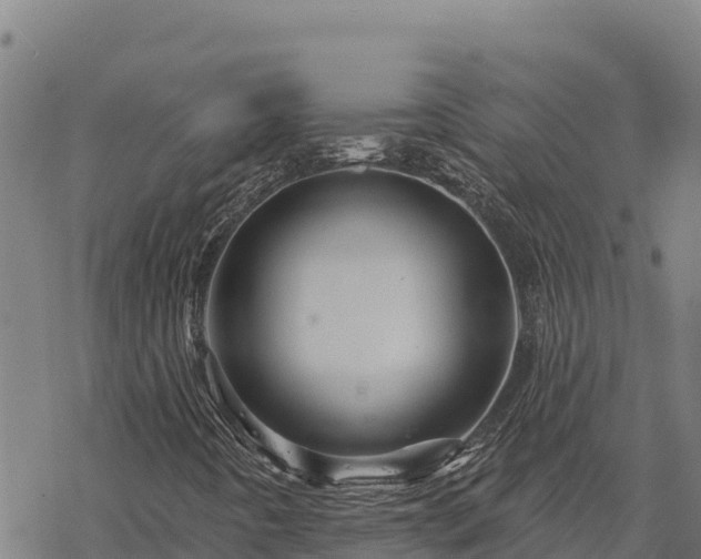 X0000068821442200605121304