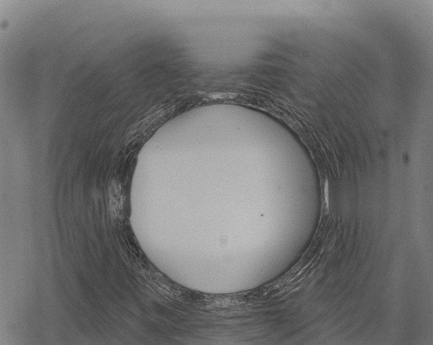 X0000068821443200605121304