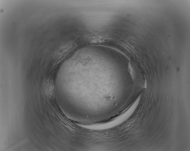 X0000068821444200605121304