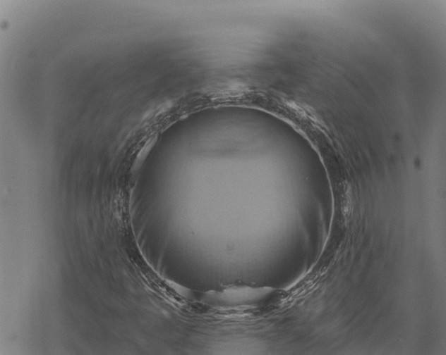 X0000068821445200605121304