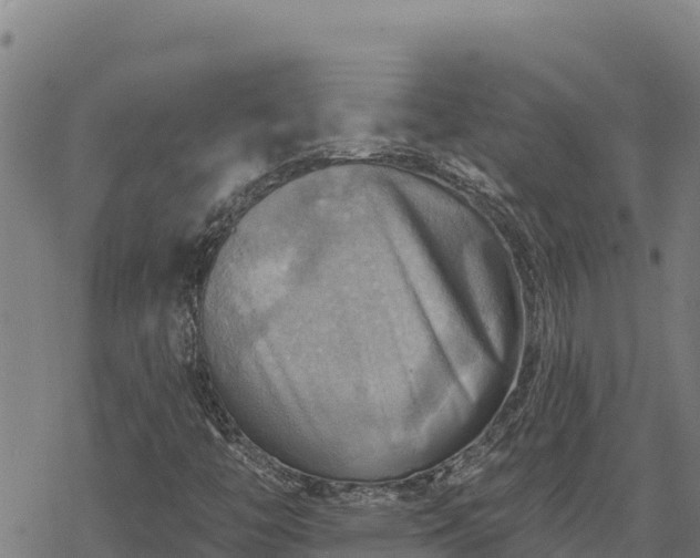 X0000068821446200605121304