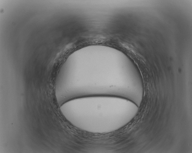 X0000068821447200605121304