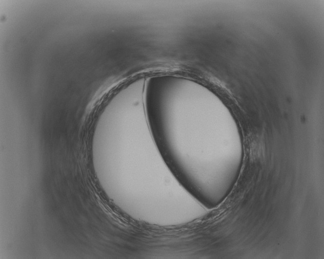 X0000068821448200605121304