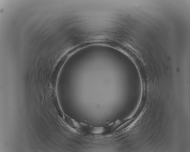 X0000068821449200605121304