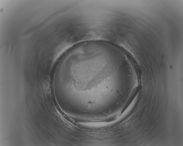 X0000068821452200605121304