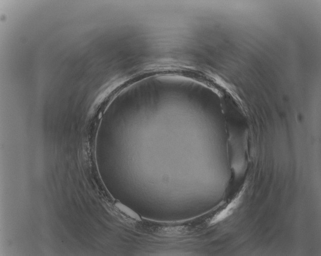 X0000068821453200605121304