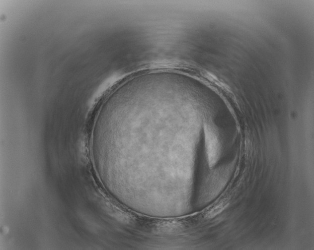 X0000068821454200605121304