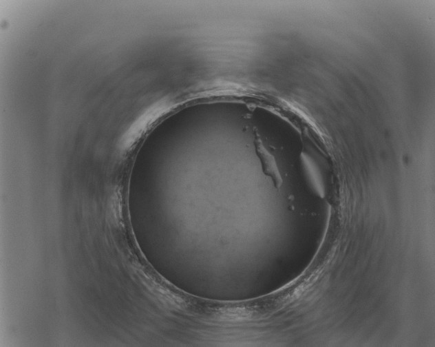 X0000068821455200605121304