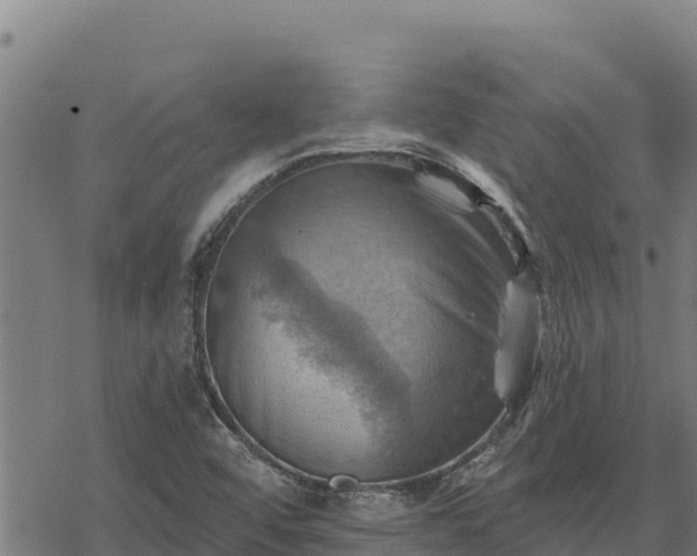 X0000068821456200605121303